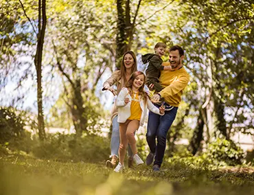 Paseos por el bosque