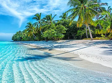 Playas y paisajes naturales